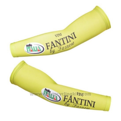 2013 Vini Fantini Arm Warmer Cycling