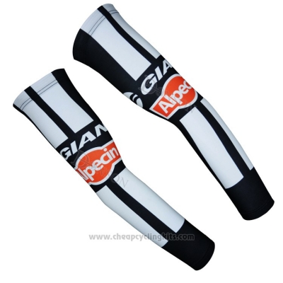 2015 Gaint Arm Warmer Cycling Gray